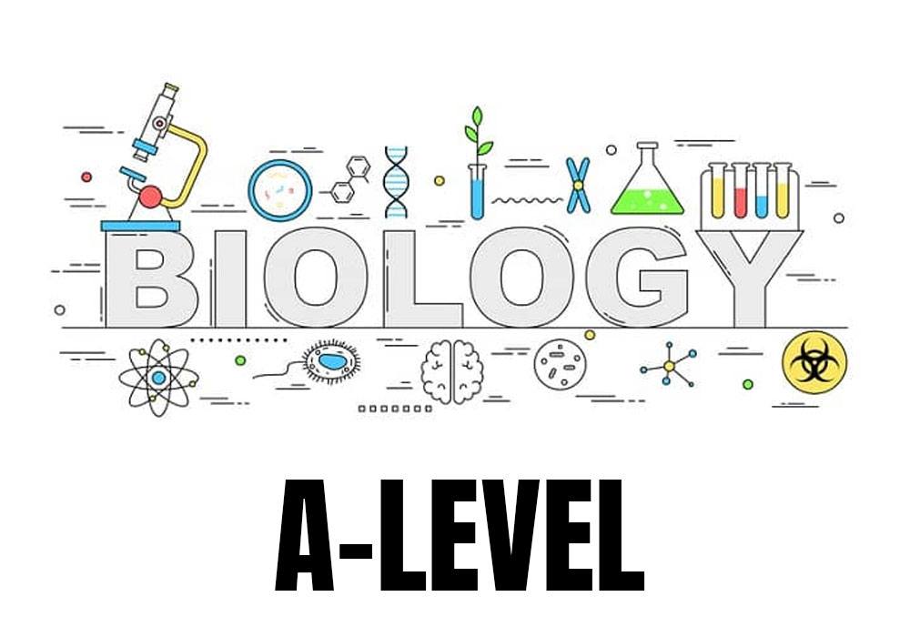 Định hướng nghề nghiệp của học sinh với bằng tú tài IGCSE, A Levels Biology